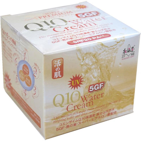 Japan UV Q10 5GF Water Cream 100g日霜活肌